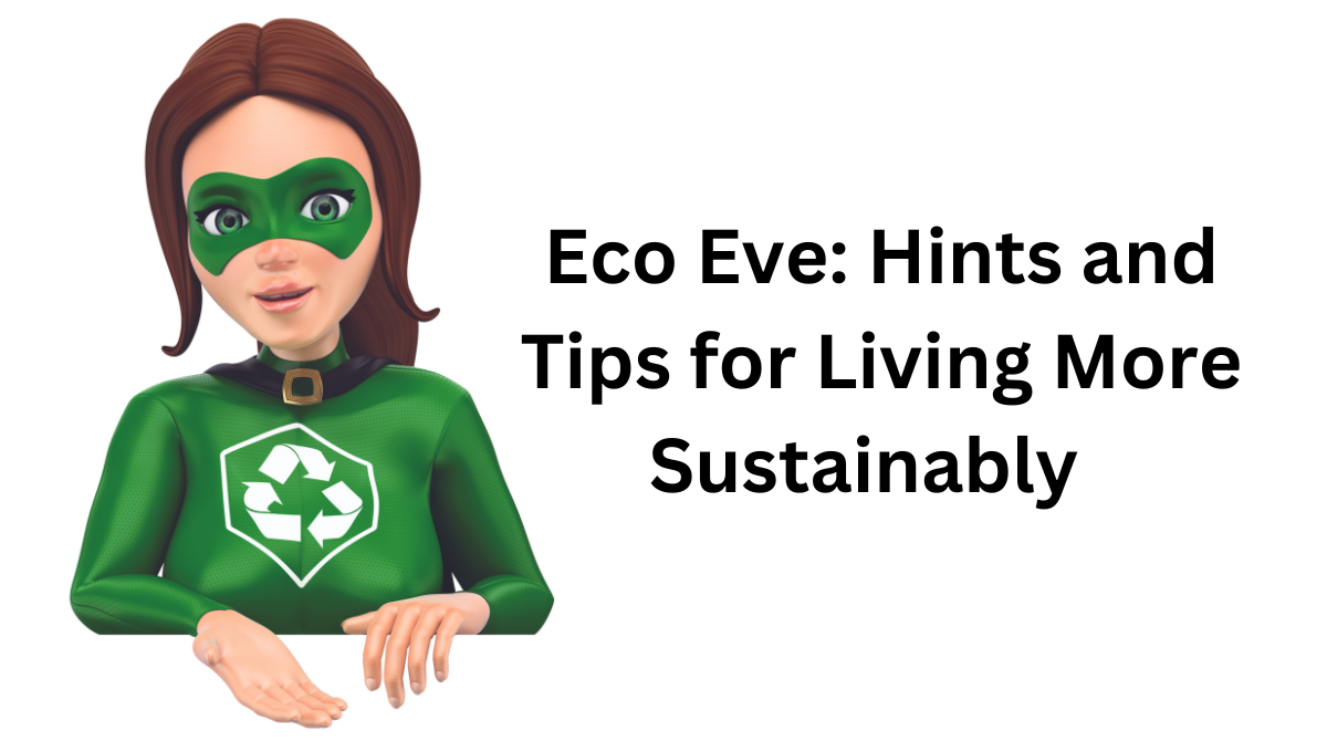 Eco Eve