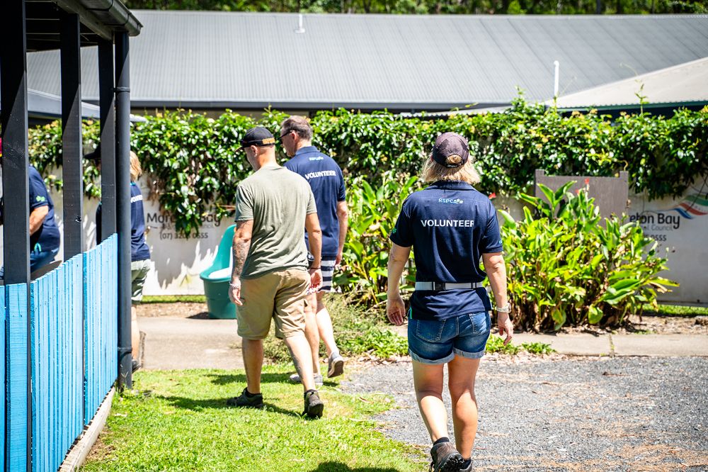 RSPCA volunteers